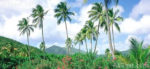 Carlisle Bay 12
